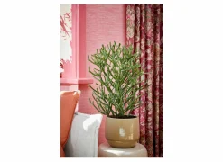 Mica Vaas Matteo Ø16x13cm - terracotta - taupe