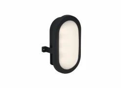 Brilliant Wandlamp buiten Tilbury zwart 5W