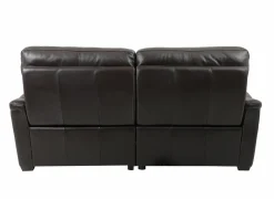 Zetel Wise 2,5-zit - leder - walnut