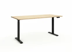 Zit sta bureau Flexo-2 200x80xH73-123cm - decor - zand eik